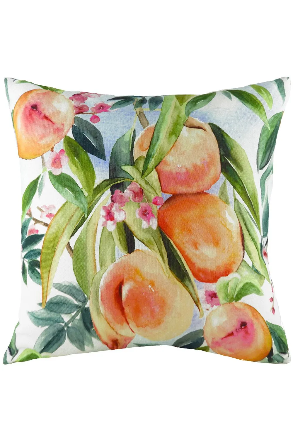 Evans Lichfield Fruit Peach Hand-Painted Watercolour Printed Cushion