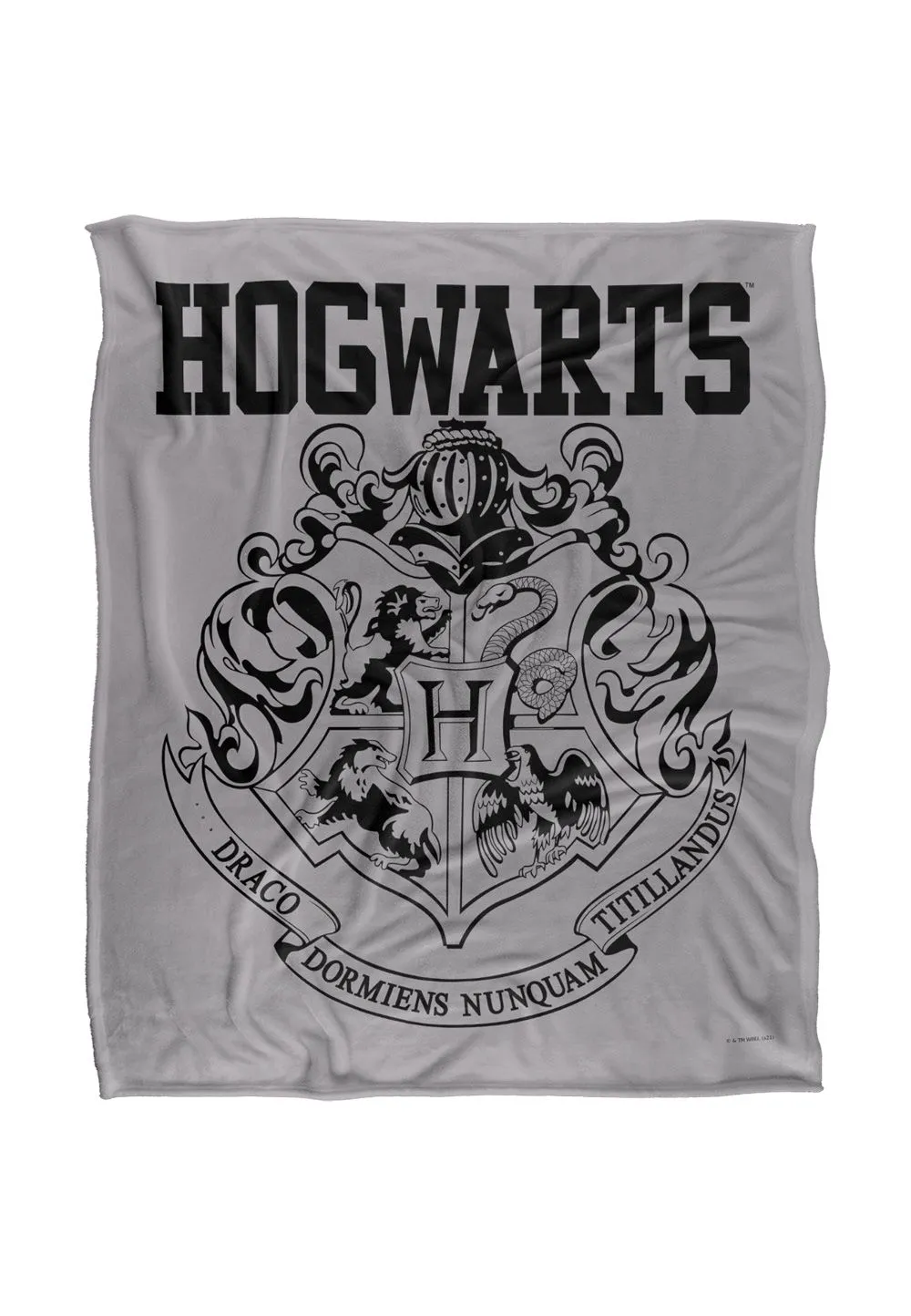 Harry Potter Hogwarts Athletic Officially Licensed Silky Touch Super Soft Throw Blanket 152x127 cm in White