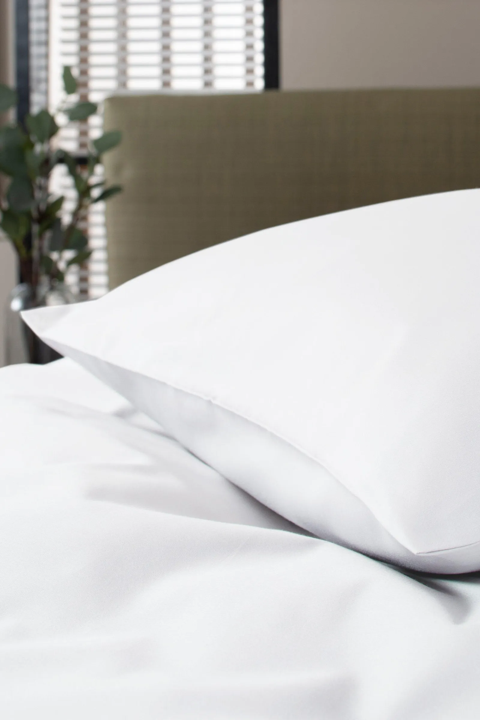 1000tc Sateen Standard Pillowcase