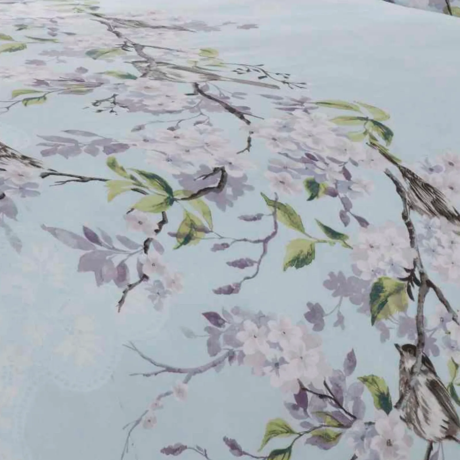 Rapport Home Eloise Floral Polycotton Duvet Cover Set with Pillowcase in Duck Egg Blue 3