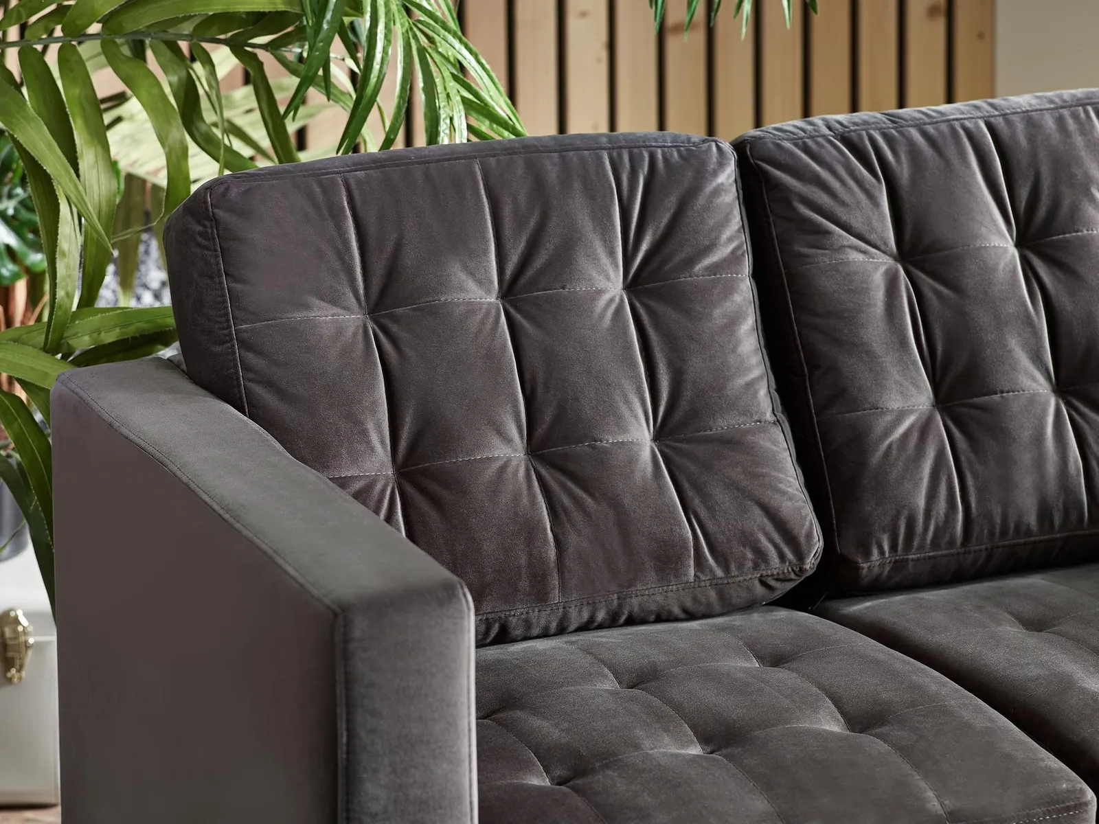 FurnitureboxUK Jade 2-Seater Soft Touch Velvet Sofa With Solid Wood Frame in Dark Grey 3