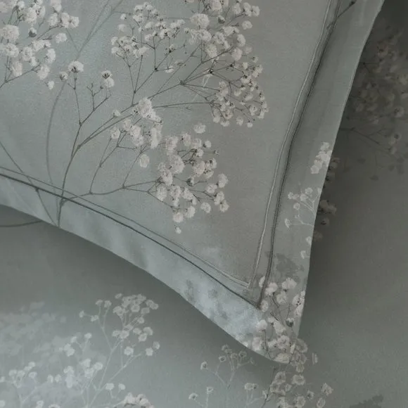 Dorma Summer Meadow 100% Cotton Oxford Pillowcase Pair 3