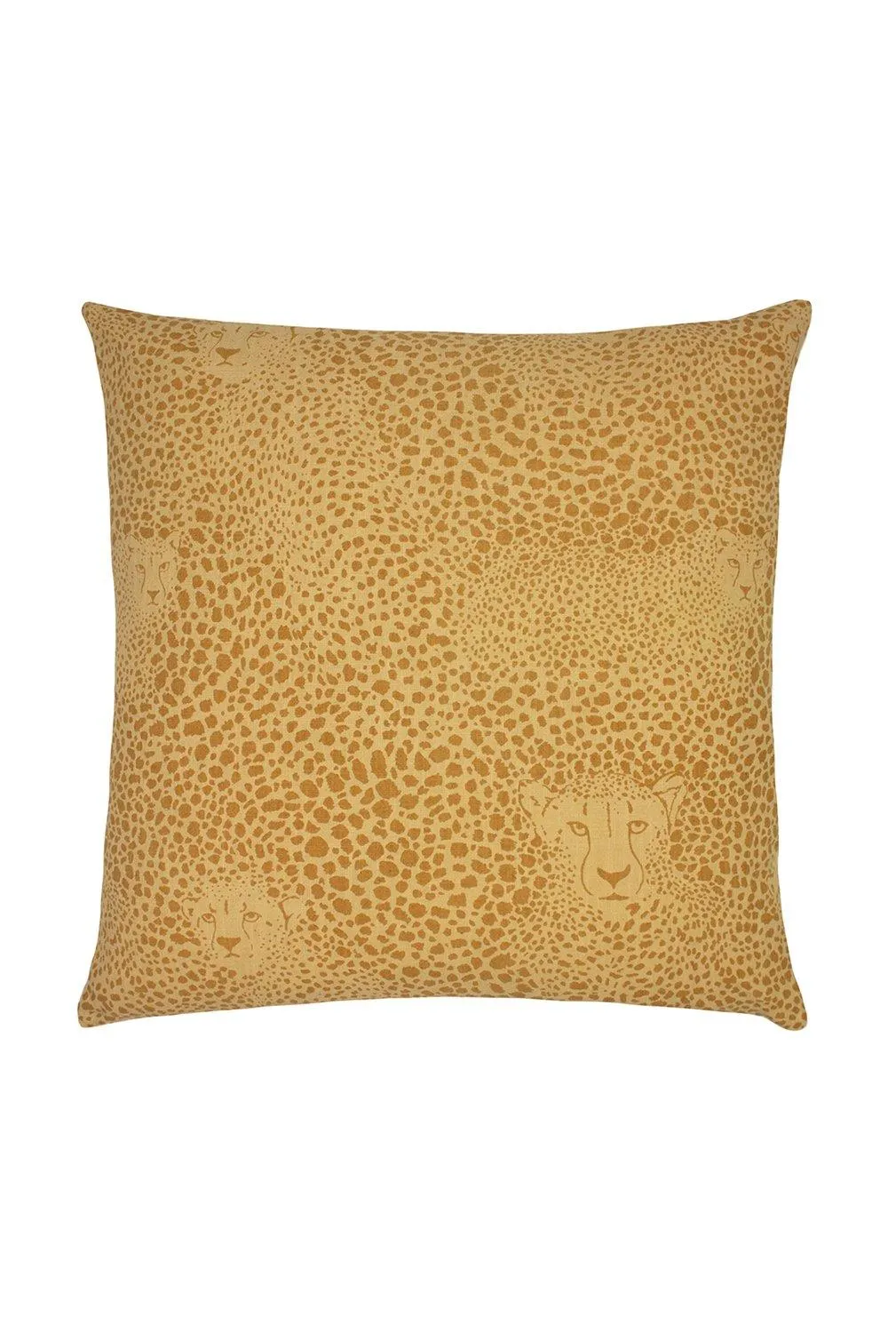 Hidden Cheetah Cushion