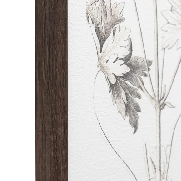 Cedar & Sage Set of 3 Evergreen Framed Prints 4