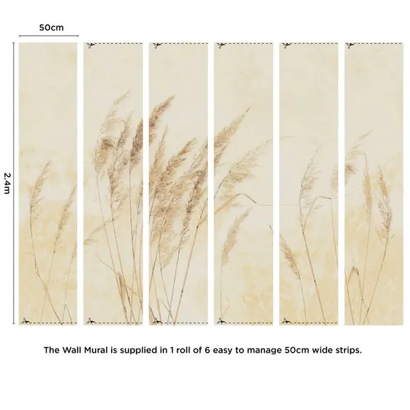 Pampas Grass Wall Mural 4