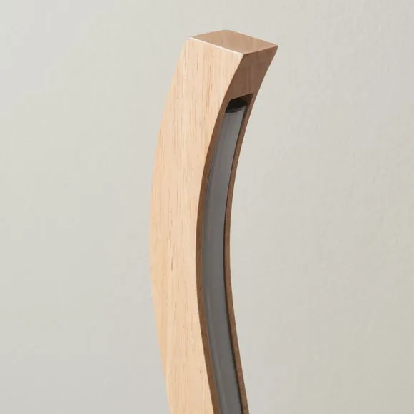 Wave Modern LED Floor Lamp 2