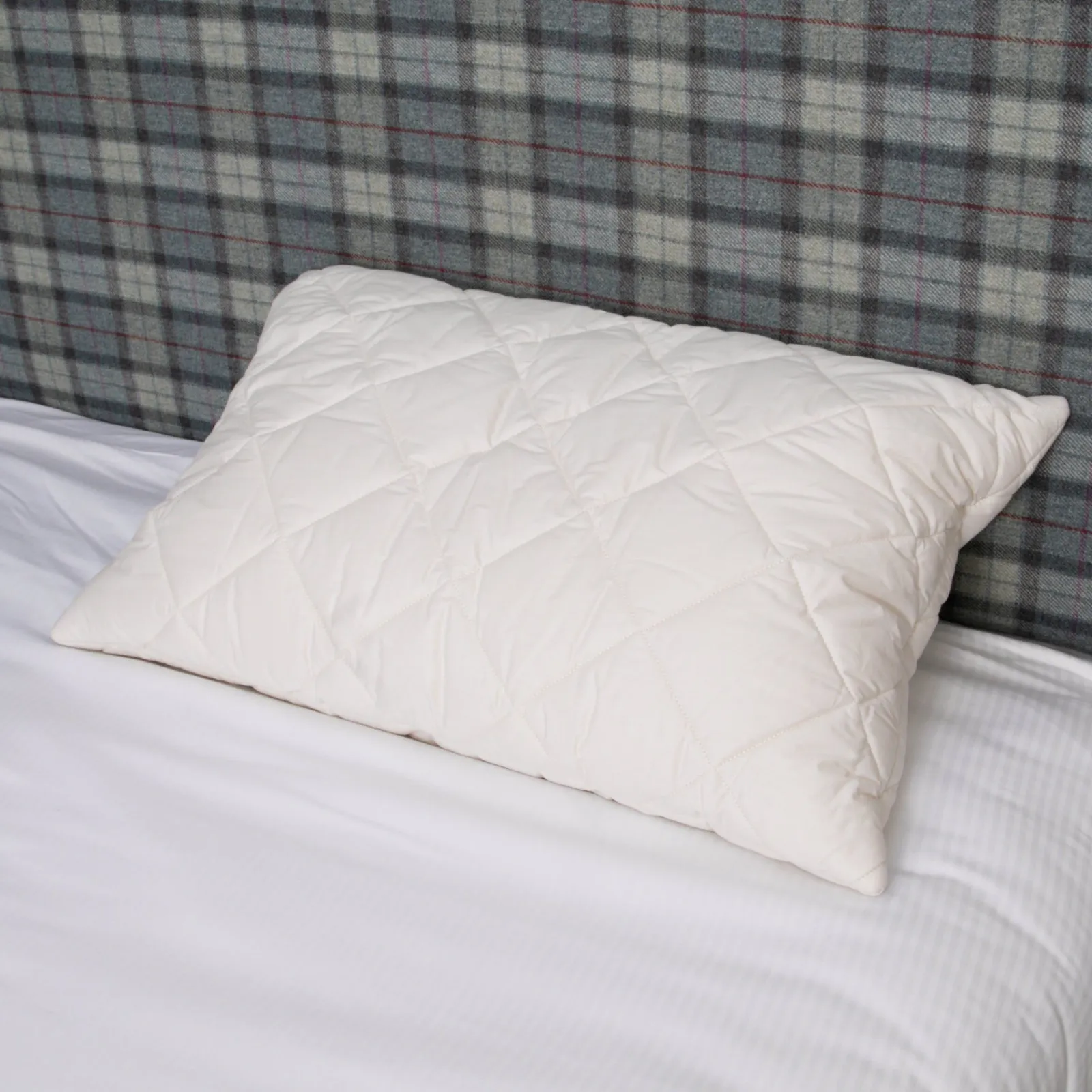 Native Natural Wool Filled Pillow (set of 2) in White