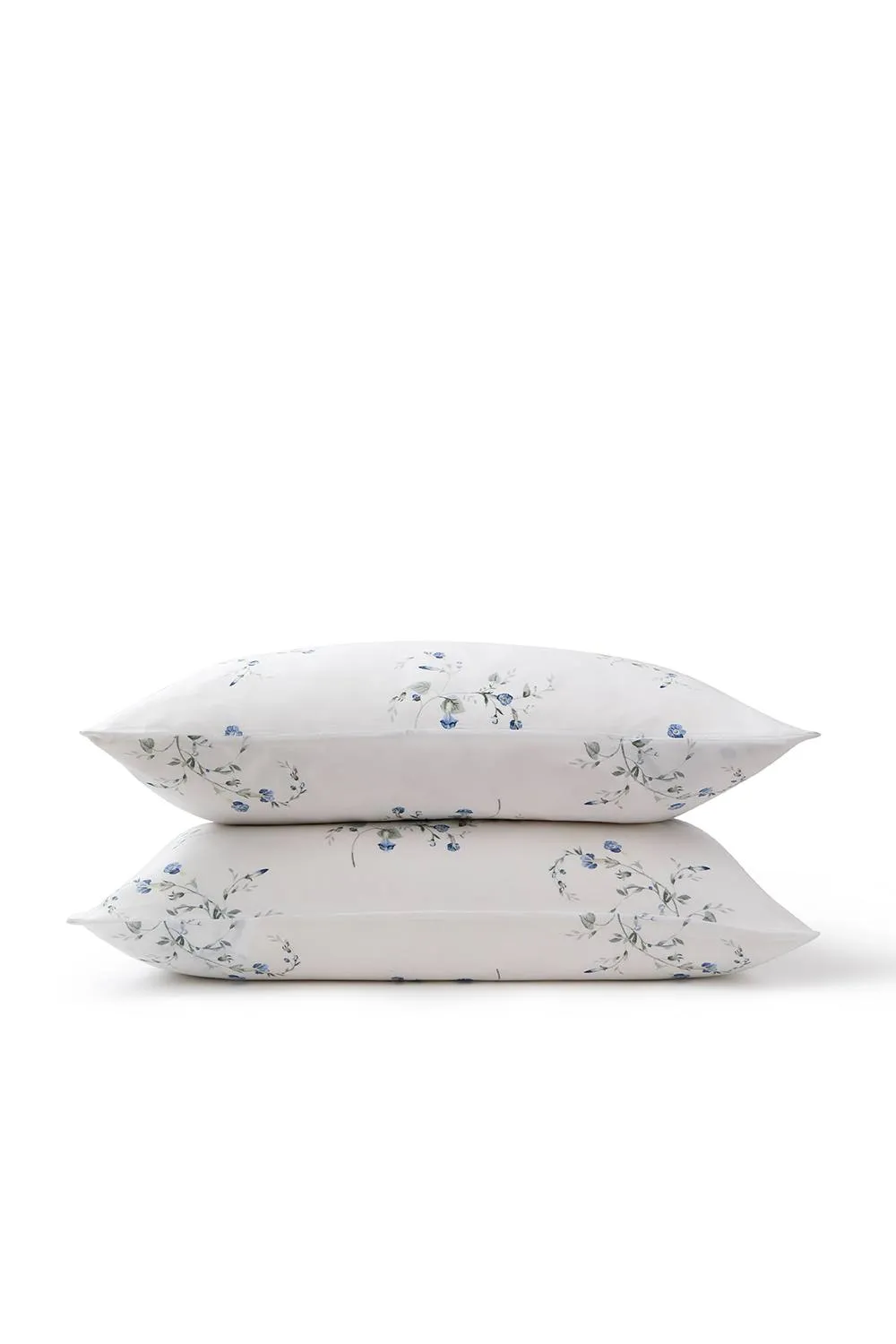 CHRISTY 'Forget Me Not' Wildflower Design Cotton Sateen Standard Pillowcase Pair in Blue 2