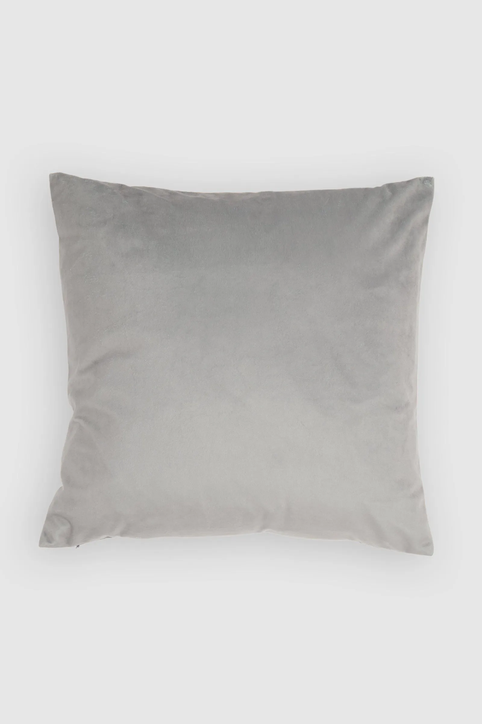 Velvet Cushion