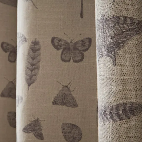 Natural History Museum Nature Study Eyelet Curtains 3