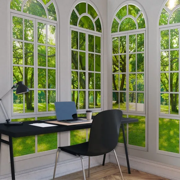 Arch Windows Wall Mural 2