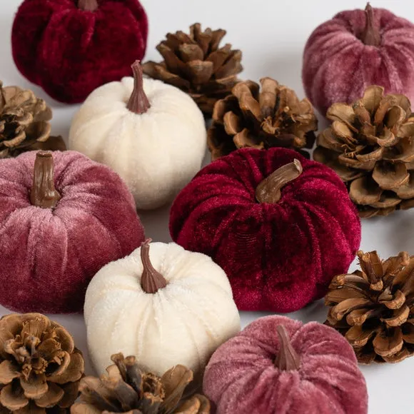 Set of Decorative Velvet Pumpkins and Pinecones 3