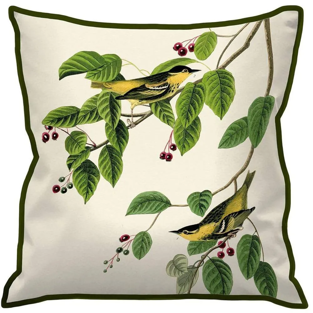 John James Audubon Carbonated Warbler Cushion in White