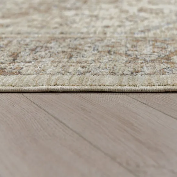 Liora Traditional Rug 4