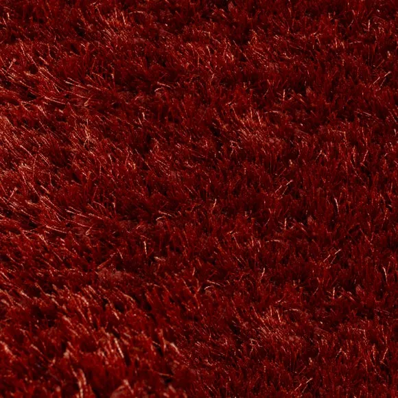 Jewel Shaggy Rug 3
