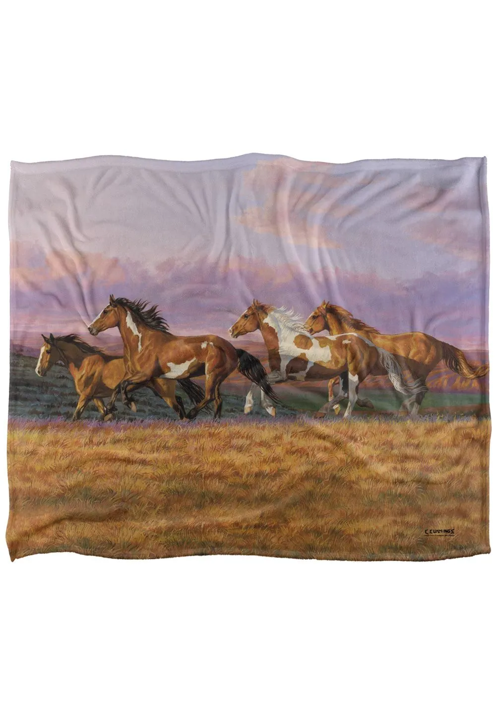 Wild Wings Sunset Cruise 2 Silky Touch Super Soft Throw Blanket 152 X 127 cm in White