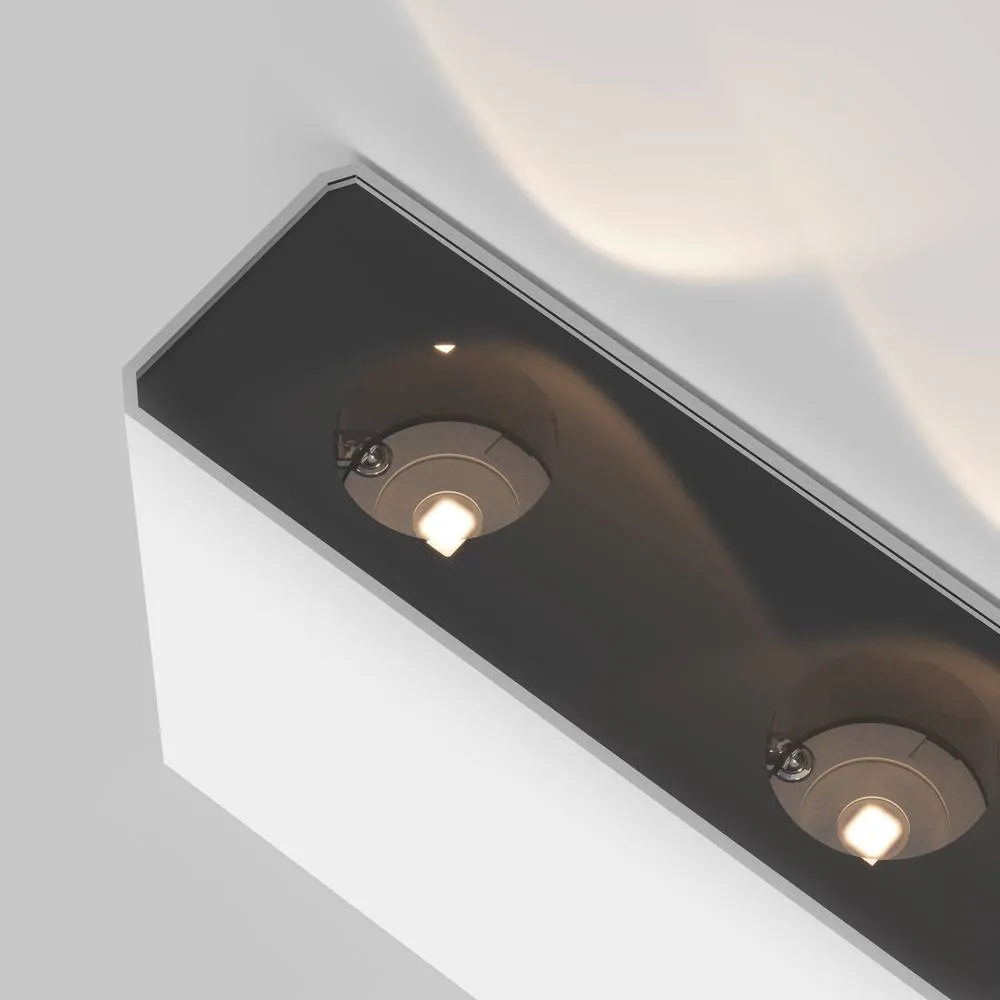 Netlighting Show Outdoor Up Down Wall Lamp White 3000K 200lm IP54 2