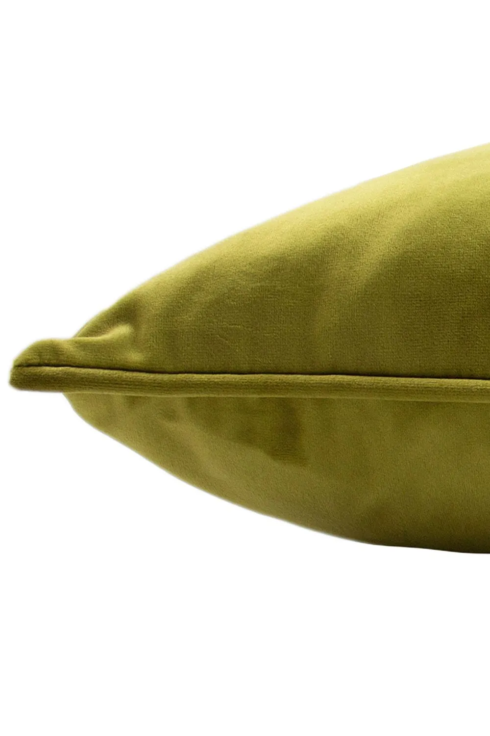 Paoletti Hortus Embroidered Bee Soft Velvet Pipe Trimmed Cushion in Olive 4