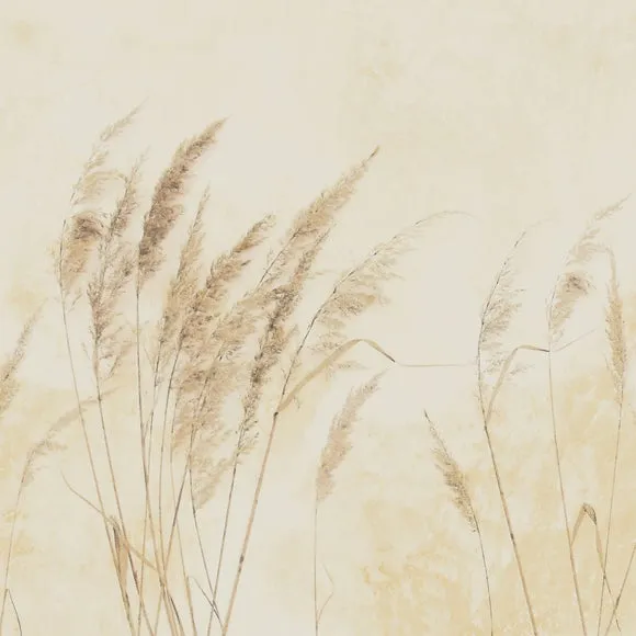 Pampas Grass Wall Mural 5