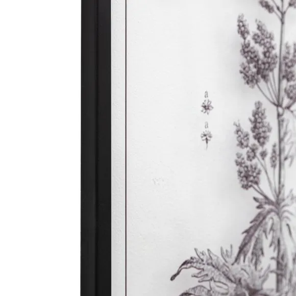 Cedar & Sage Set of 2 Petiole Framed Glass Wall Art 3