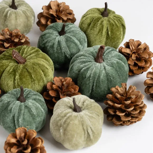 Set of Decorative Velvet Pumpkins and Pinecones 3