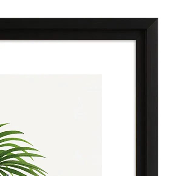 The Art Group Zebra Palm Framed Print 3