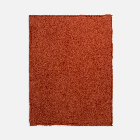 Teddy Bear Throw Blanket 3
