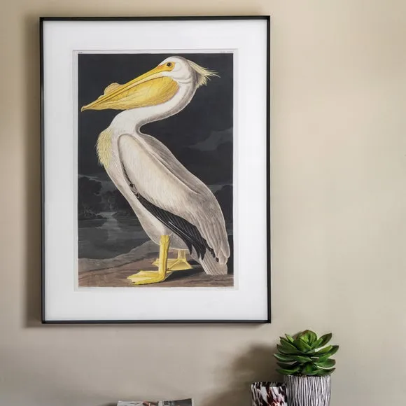 Cedar & Sage Pellicano Framed Print