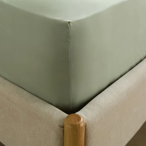 Cotton Rich Fitted Sheet 2