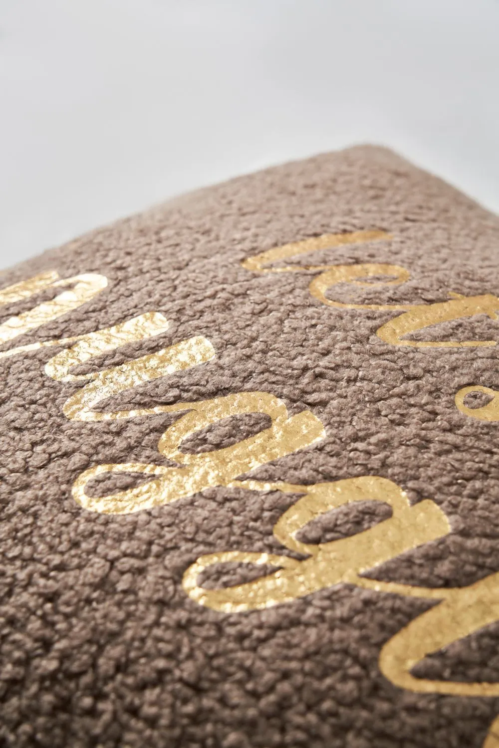BHS Lets Snuggle Cushion in Brown 2