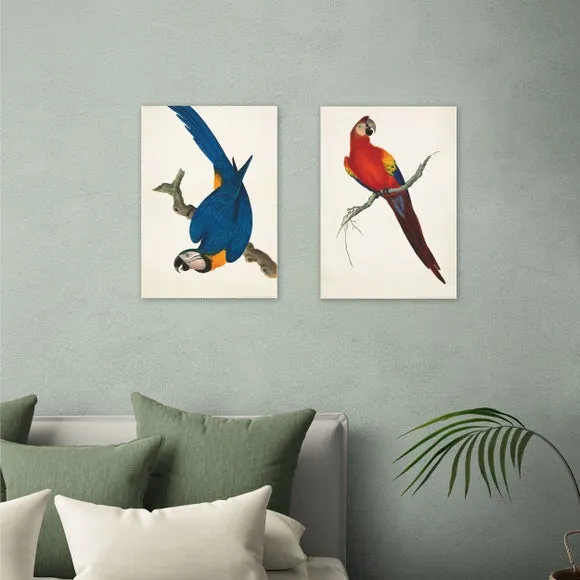 East End Prints Set of 2 Parrots Prints 1