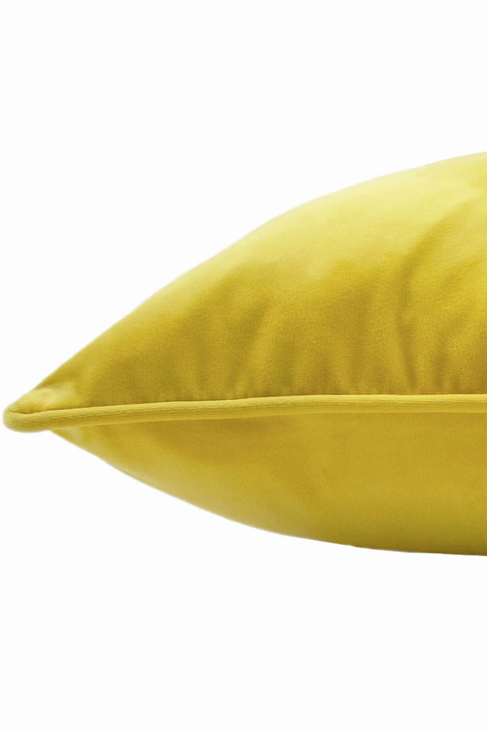 Paoletti Hortus Embroidered Bee Soft Velvet Pipe Trimmed Cushion in Yellow 4