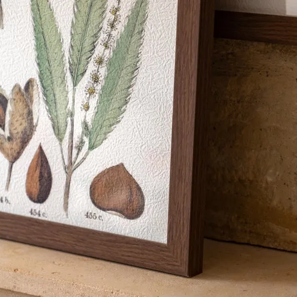 Cedar & Sage Set of 2 Foliage Study Framed Prints 3