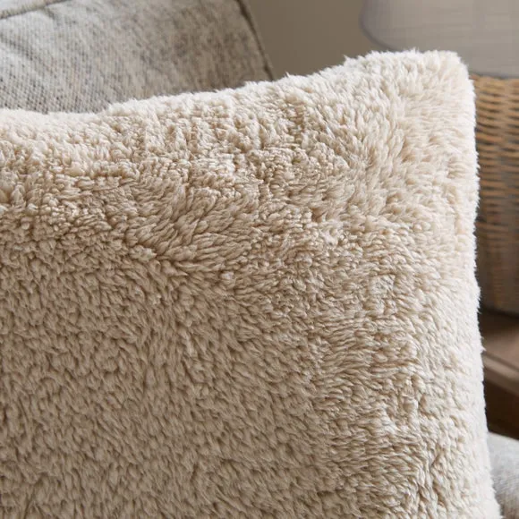 Teddy Cushion 2