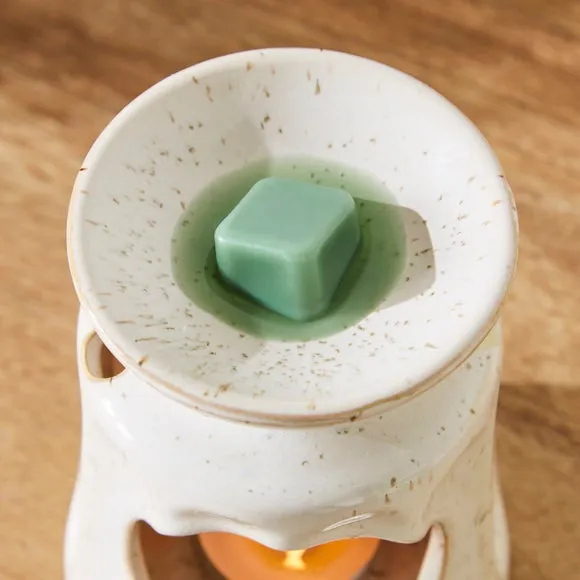 Set of 6 Pistachio & Coconut Wax Melts 2