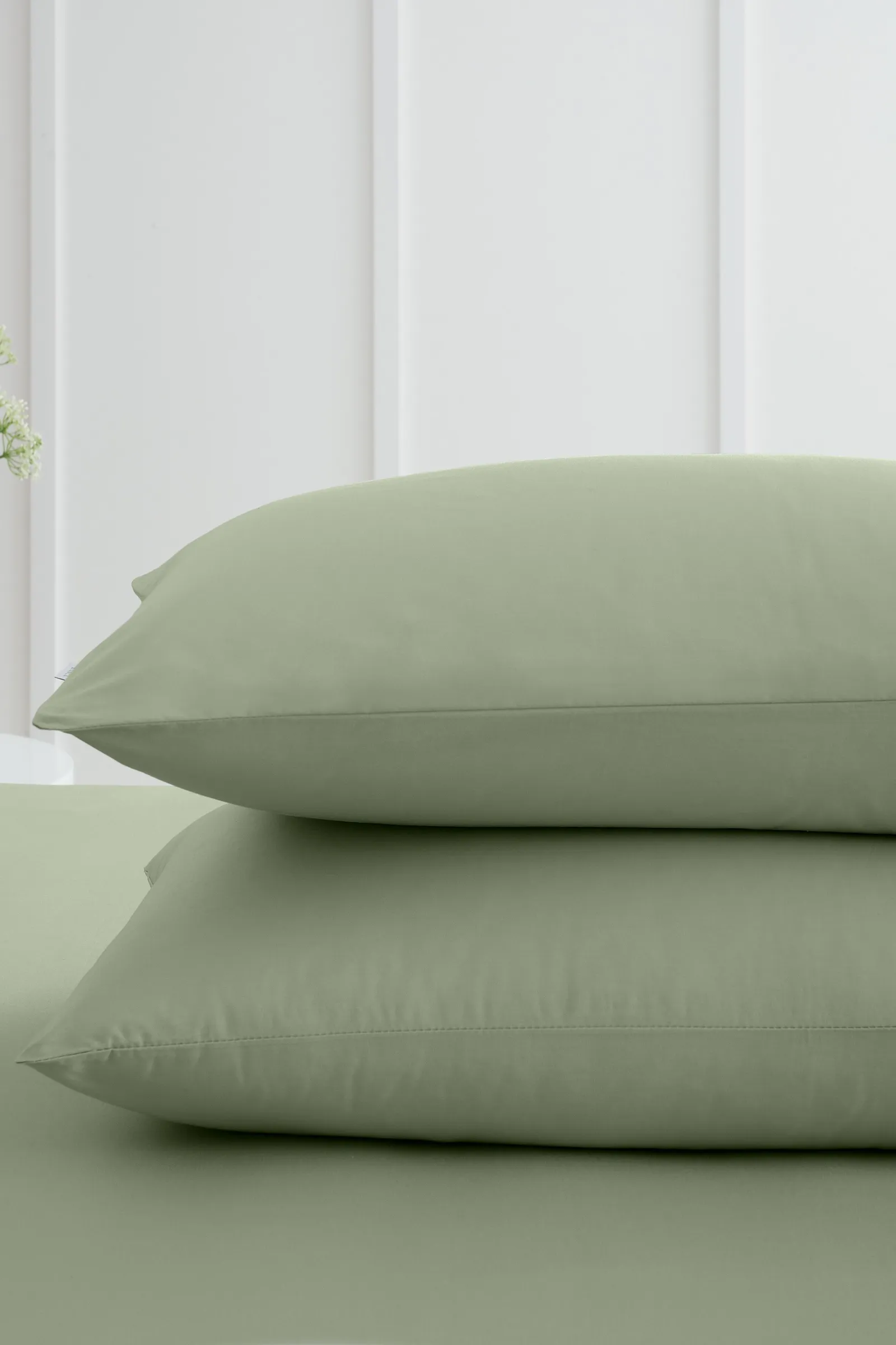 Bianca '200 Thread Count Cotton Percale' Standard Pillowcase Pair in Green 2
