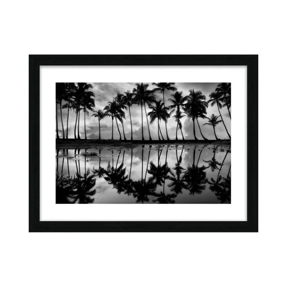 The Art Group Palm Reflection Framed Print 2
