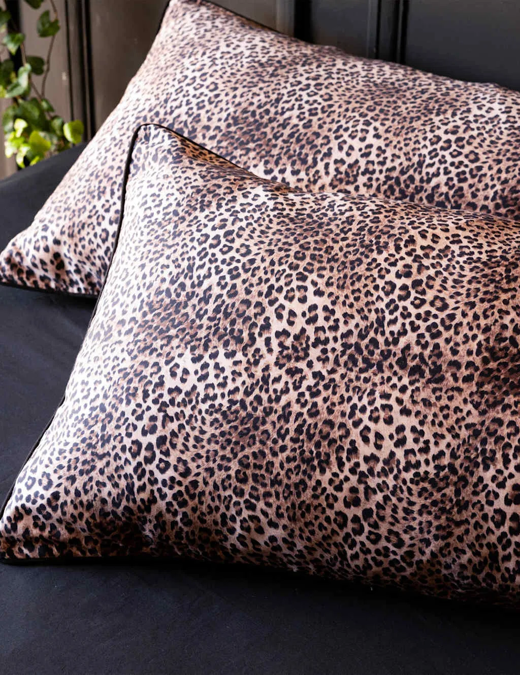 Rockett St George Cotton Sateen 200 Thread Count Patterned Pillowcase Brown Mix