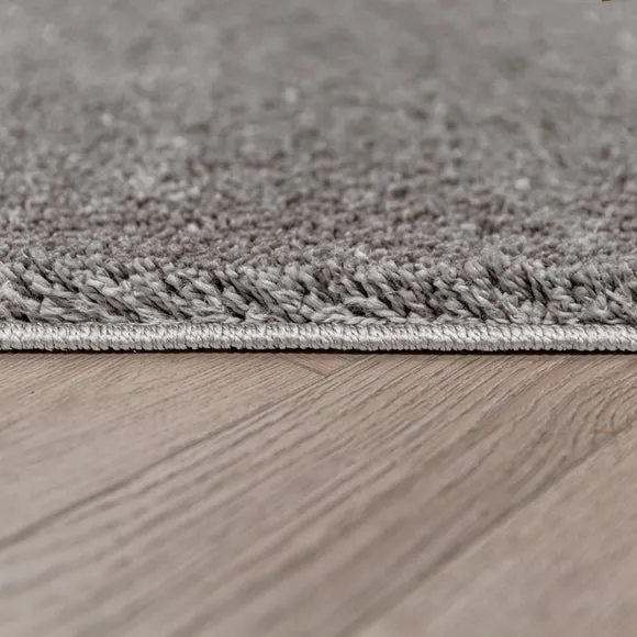 Sheen Shaggy Rug 4