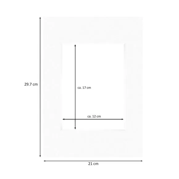 Nielsen Conservation White Picture Mount 2