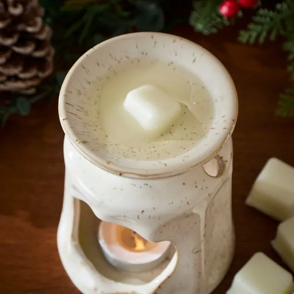 Winter Spice Wax Melts 2