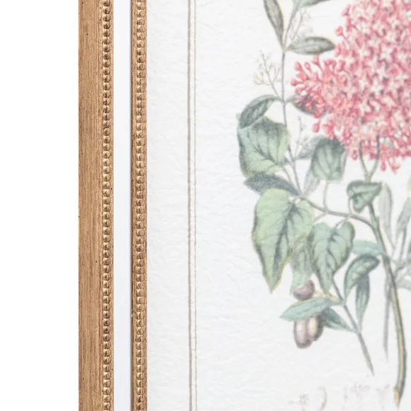 Cedar & Sage Set of 4 Floral Quartet Framed Prints 2