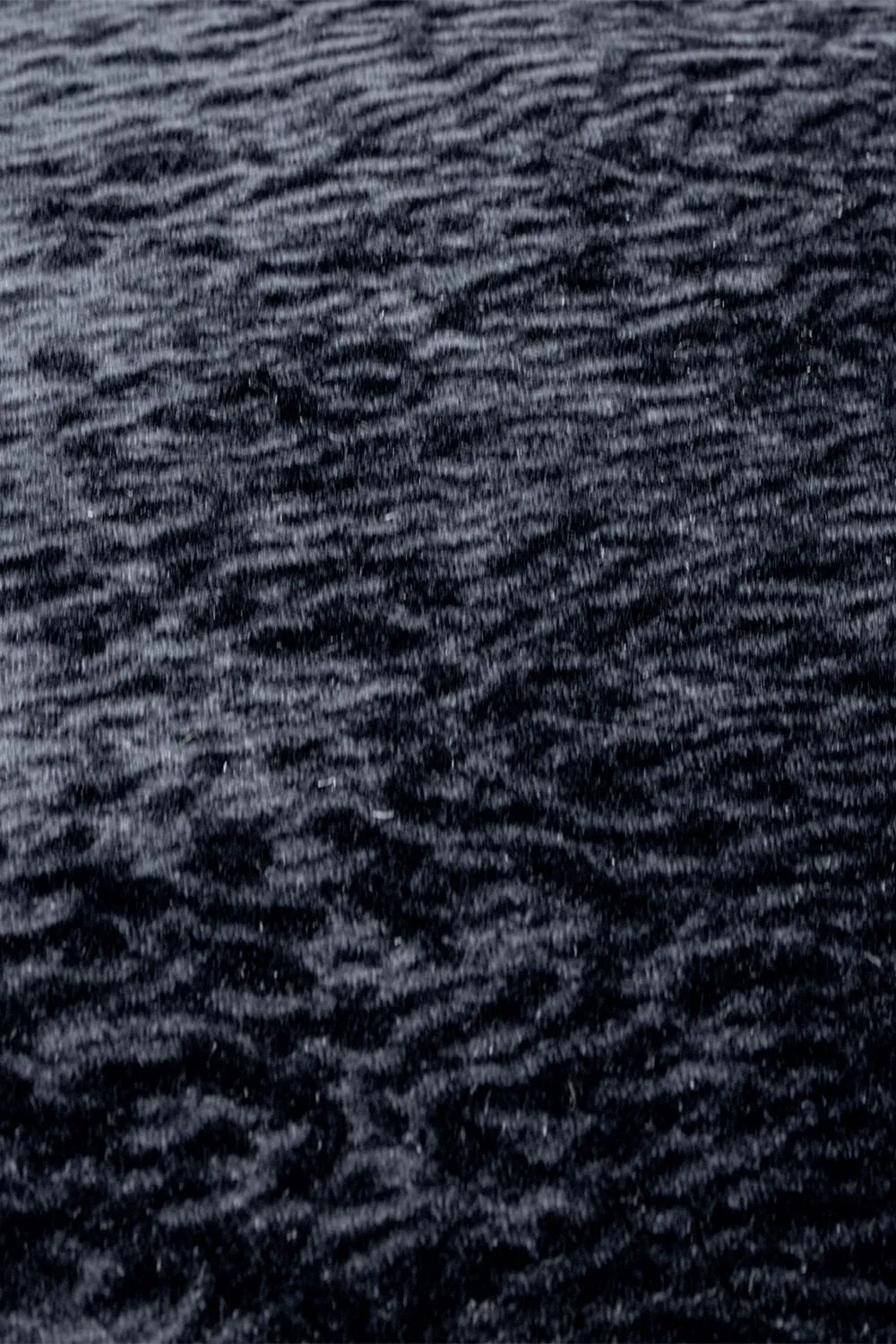 Paoletti Ripple Pressed Velvet Piped Cushion in Black 3