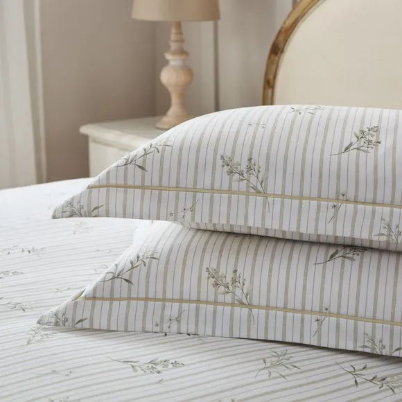 Dorma Abbotsford 100% Cotton Sateen Standard Pillowcase Pair 2