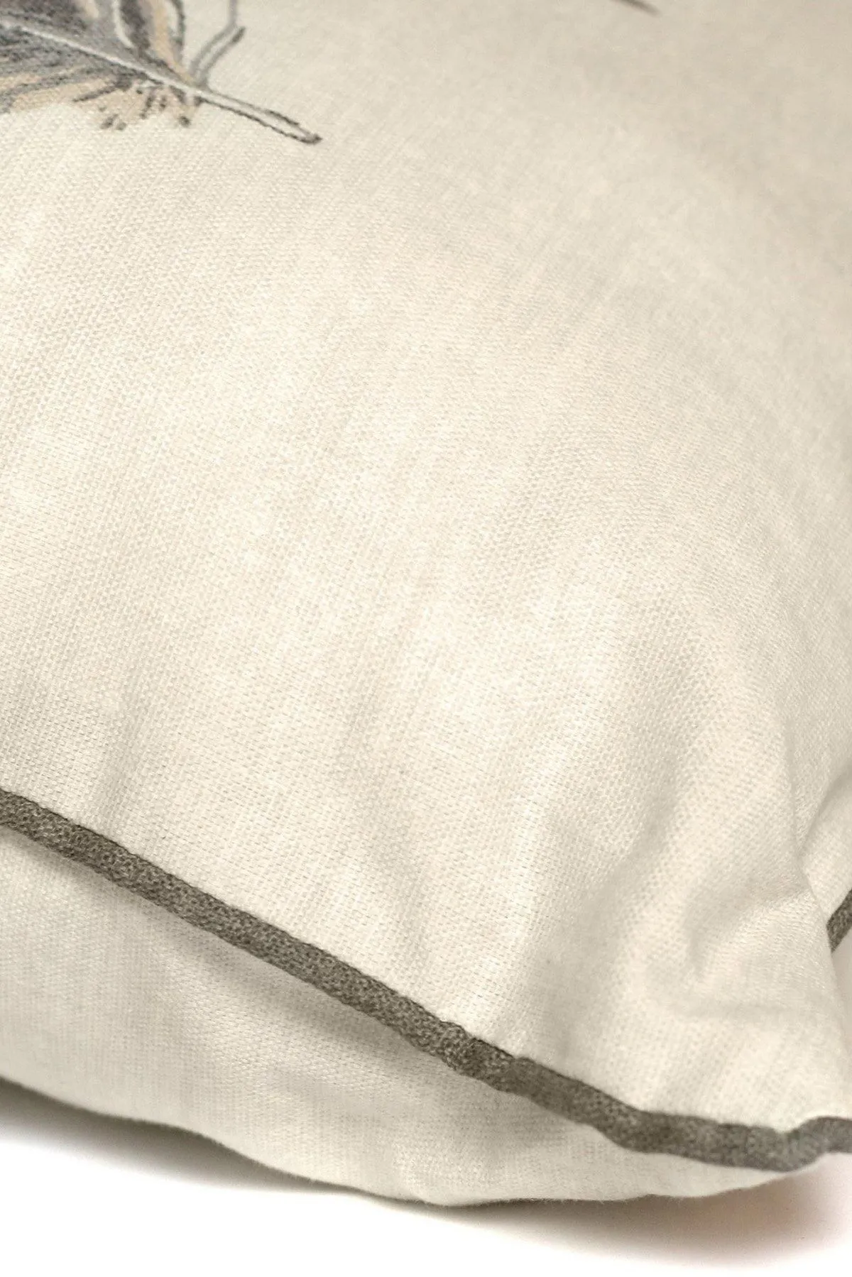 Fusion 'Idaho' Feather Motif Filled Cushion 100% Cotton in Charcoal 2