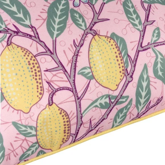 Fruits Outdoor Square Cushion 5
