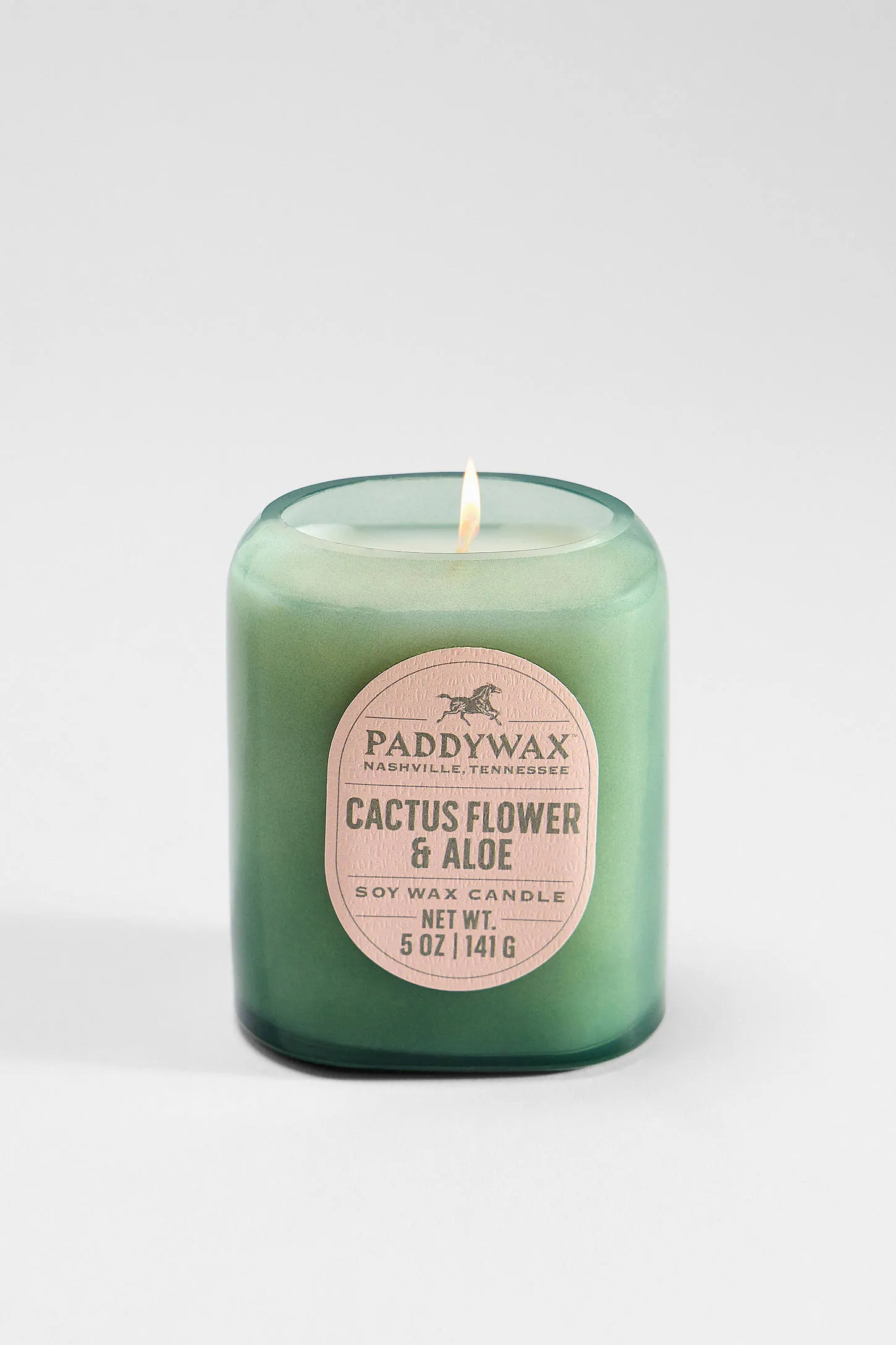 Paddywax Vista Cactus Flower & Aloe Soy Wax 5oz Candle ALL