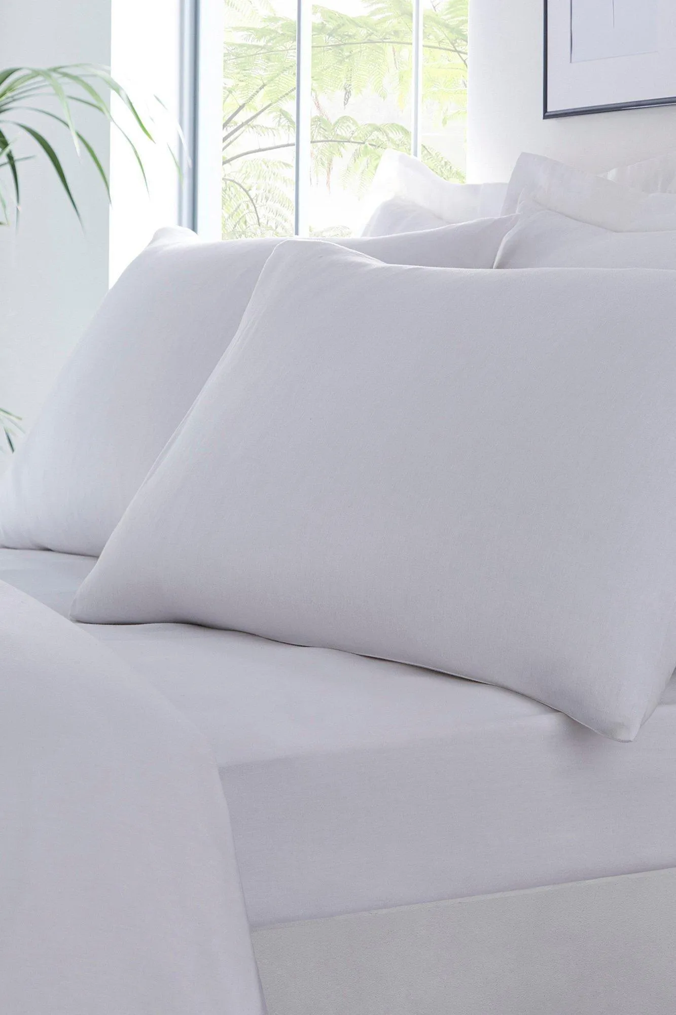Organic Cotton Single Flat Sheet