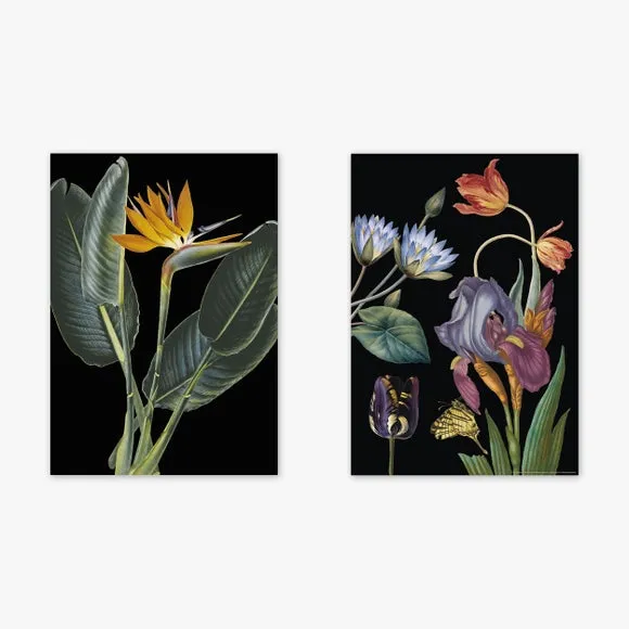 East End Prints Set of 2 Dark Florals Prints 2