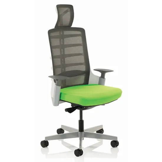 Exo Charcoal Grey Back Office Chair With Myrrh Green Seat